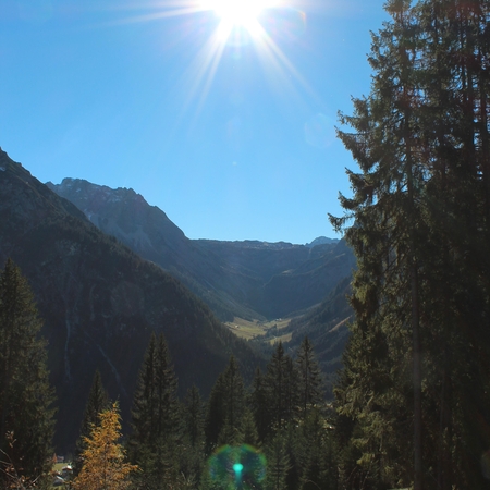 Hundetreffen 2015 im Allgäu (8)